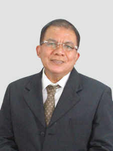 Prof. Dr. dr. Syahrul, Sp.S(K)